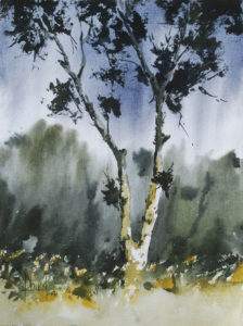 101031-b-tree-at-national-park-10x14-water-colour-12000